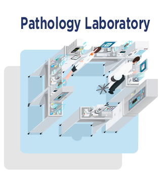 Pathology Laboratory