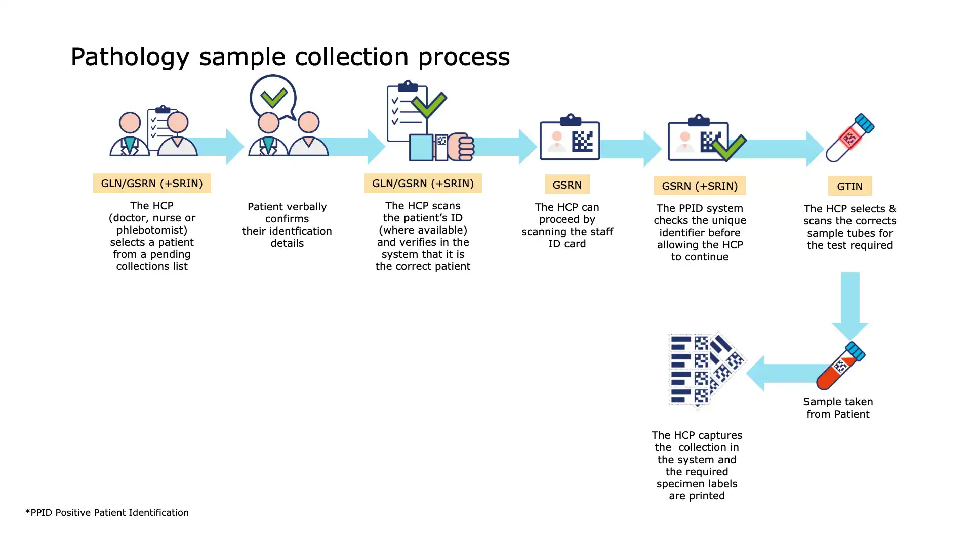 Blood Sample Collection - Sample Processing